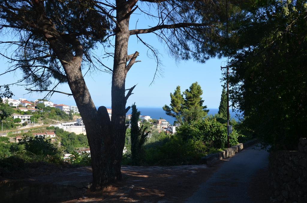 Apartment Dragovic Ulcinj Exterior photo